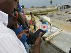 Utiliser les Nouvelles Technologies de l’Information Communication (NTIC) pour renforcer la collecte des données des pêches