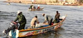 La pêche divise Sénégal et Mauritanie