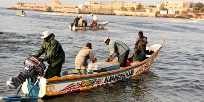 La pêche divise Sénégal et Mauritanie