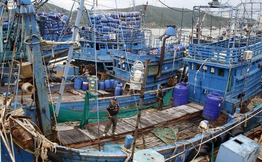 La surpêche et le déclin des ressources ont été largement sous-estimés