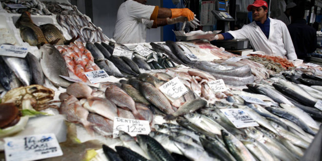 Suivre le poisson «de la mer à l’assiette» pour écarter les prises illégales des chaînes d’approvisionnement mondiales