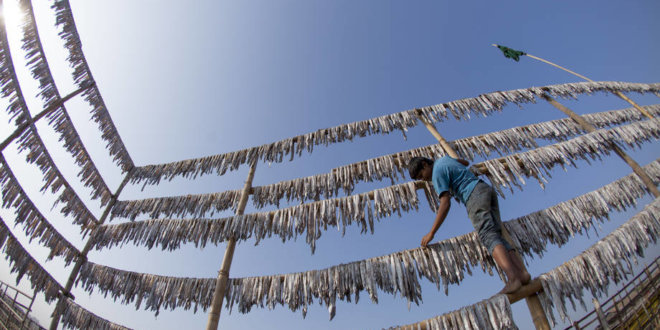 Le Directeur général de la FAO salue un traité historique visant à mettre fin à la pêche illégale