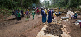 Pêche miraculeuse à Lom Pangar, en amont du nouveau barrage camerounais