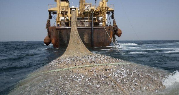Pêche illégale: L’Afrique de l’ouest perd plus de 2 milliards $ par an