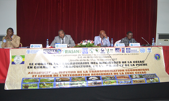 Ouverture de la réunion des Experts préparatoire à la Session extraordinaire du Conseil des Ministres de la CEEAC en charge de l’Agriculture, de l’Elevage et de la Pêche couplé à la Table Ronde régionale de mobilisation des ressources pour le financement