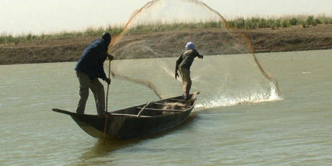 Les effets des changements climatiques sur les performances de la pêche