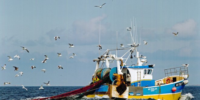 Pêche et aquaculture : Forte incidence des changements climatiques sur les espèces aquatiques