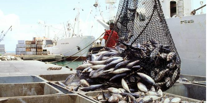 05 Juin 2018 – Journée International de la lutte contre la pêche illicite, non déclarée et non réglementée (INN)