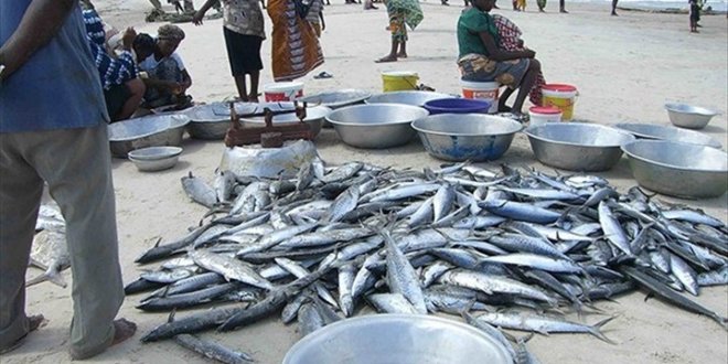 Libreville accueille la 22ème session du Comité des pêches pour l’Atlantique Centre-Est (COPACE) du 17 au 19 septembre prochain