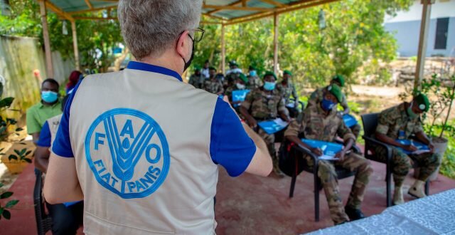 Pêche illicite : au Gabon, la FAO mise sur la sensibilisation des étudiants