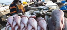 Pêche illégale : SkyLight offre son expertise au Gabon