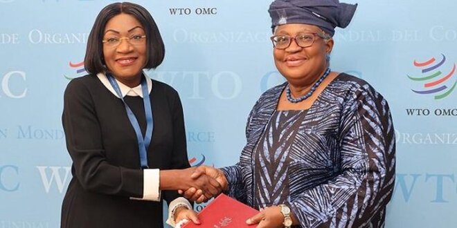 Le Nouveau Gabon OMC : le Gabon ratifie l’Accord sur les subventions à la pêche et devient le premier pays d’Afrique centrale à le faire